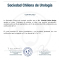 Acercar imagen: certificate 28