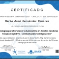 Acercar imagen: certificate 2