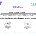 Acercar imagen: certificate 17