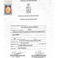 Acercar imagen: certificate 7
