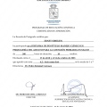 Acercar imagen: certificate 6