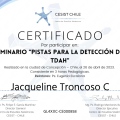 Acercar imagen: certificate 13