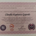 Acercar imagen: certificate 5