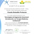 Acercar imagen: certificate 3