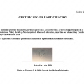 Acercar imagen: certificate 11