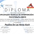 Acercar imagen: certificate 5