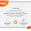 Acercar imagen: certificate 6