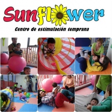 Sunflower Ltda.