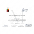 Acercar imagen: certificate 5