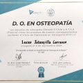 Acercar imagen: certificate 5