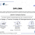 Acercar imagen: certificate 3