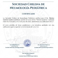 Acercar imagen: certificate 2
