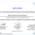 Acercar imagen: certificate 17