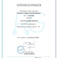 Acercar imagen: certificate 5