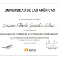Acercar imagen: certificate 1