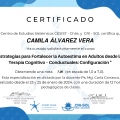 Acercar imagen: certificate 2