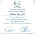 Acercar imagen: certificate 17