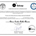 Acercar imagen: certificate 3