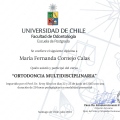 Acercar imagen: certificate 3