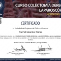 Acercar imagen: certificate 7