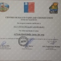 Acercar imagen: certificate 16