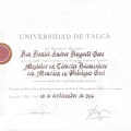 Acercar imagen: certificate 4
