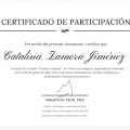 Acercar imagen: certificate 1