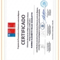 Acercar imagen: certificate 4