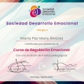 Acercar imagen: certificate 4