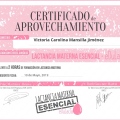 Acercar imagen: certificate 11