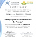Acercar imagen: certificate 10