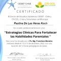 Acercar imagen: certificate 12