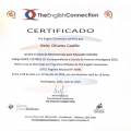 Acercar imagen: certificate 9