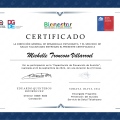 Acercar imagen: certificate 8