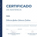 Acercar imagen: certificate 3
