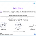 Acercar imagen: certificate 5