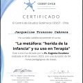 Acercar imagen: certificate 8