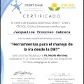 Acercar imagen: certificate 4