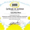 Acercar imagen: certificate 10