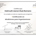 Acercar imagen: certificate 29
