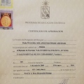 Acercar imagen: certificate 5