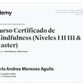 Acercar imagen: certificate 7
