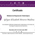 Acercar imagen: certificate 2