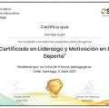 Acercar imagen: certificate 13