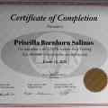 Acercar imagen: certificate 1