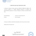 Acercar imagen: certificate 10