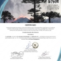 Acercar imagen: certificate 13