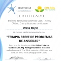 Acercar imagen: certificate 2