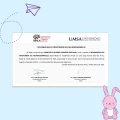 Acercar imagen: certificate 28