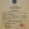 Acercar imagen: certificate 6